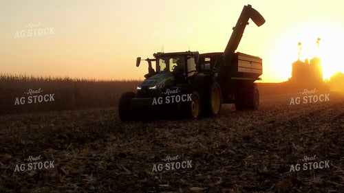 Corn Harvest 287018