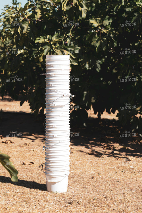 Buckets in Orchard 276050