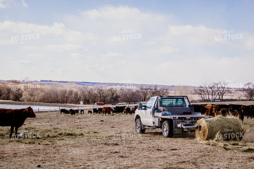 Feeding with Bale Bed Truck 214091