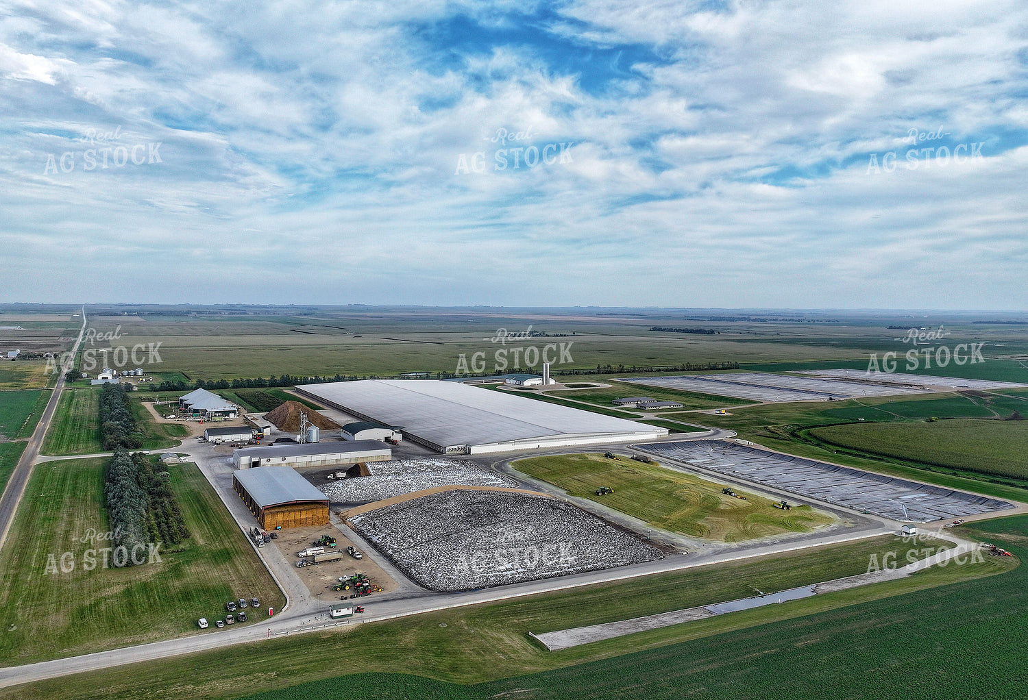 Aerial of Corn Silage Storage at Dairy Farm 141388