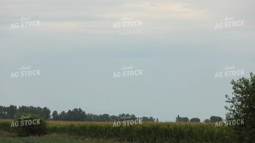 Crop Duster Corn Field Video 3140