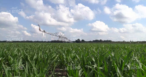 Pivot Irrigation System 156062