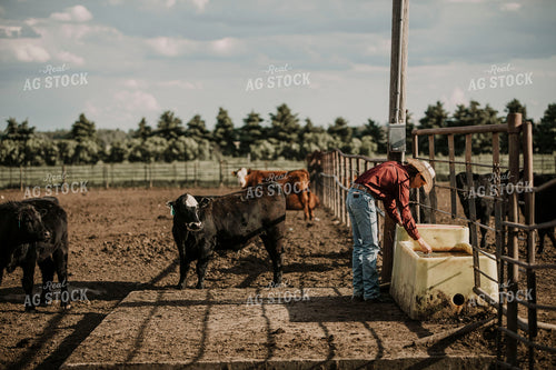 Feedyard 3030