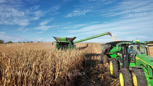 Aerial of Harvesting White Corn 65578