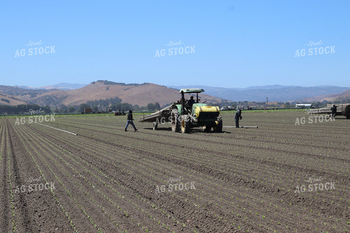 Installing Irrigation Lines in Artichoke Field 102131