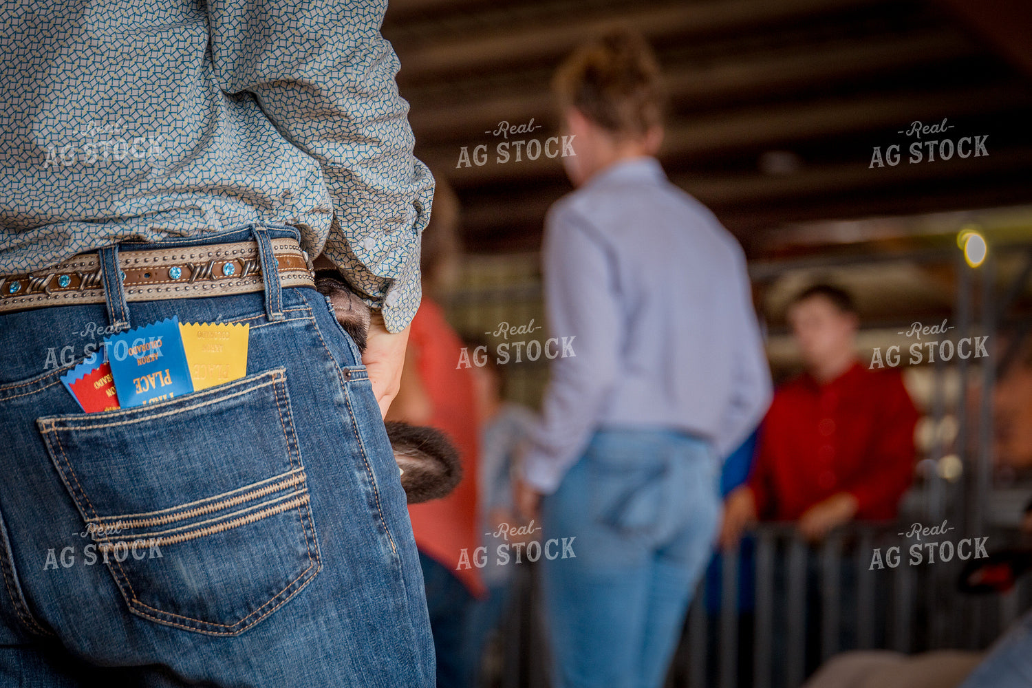 Show Ribbons 97176