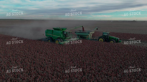 Aerial of Milo Harvest 239444