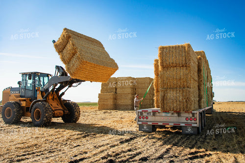 Stacking Wheat Straw Bales 152575