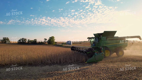 Soybean Harvest 65143