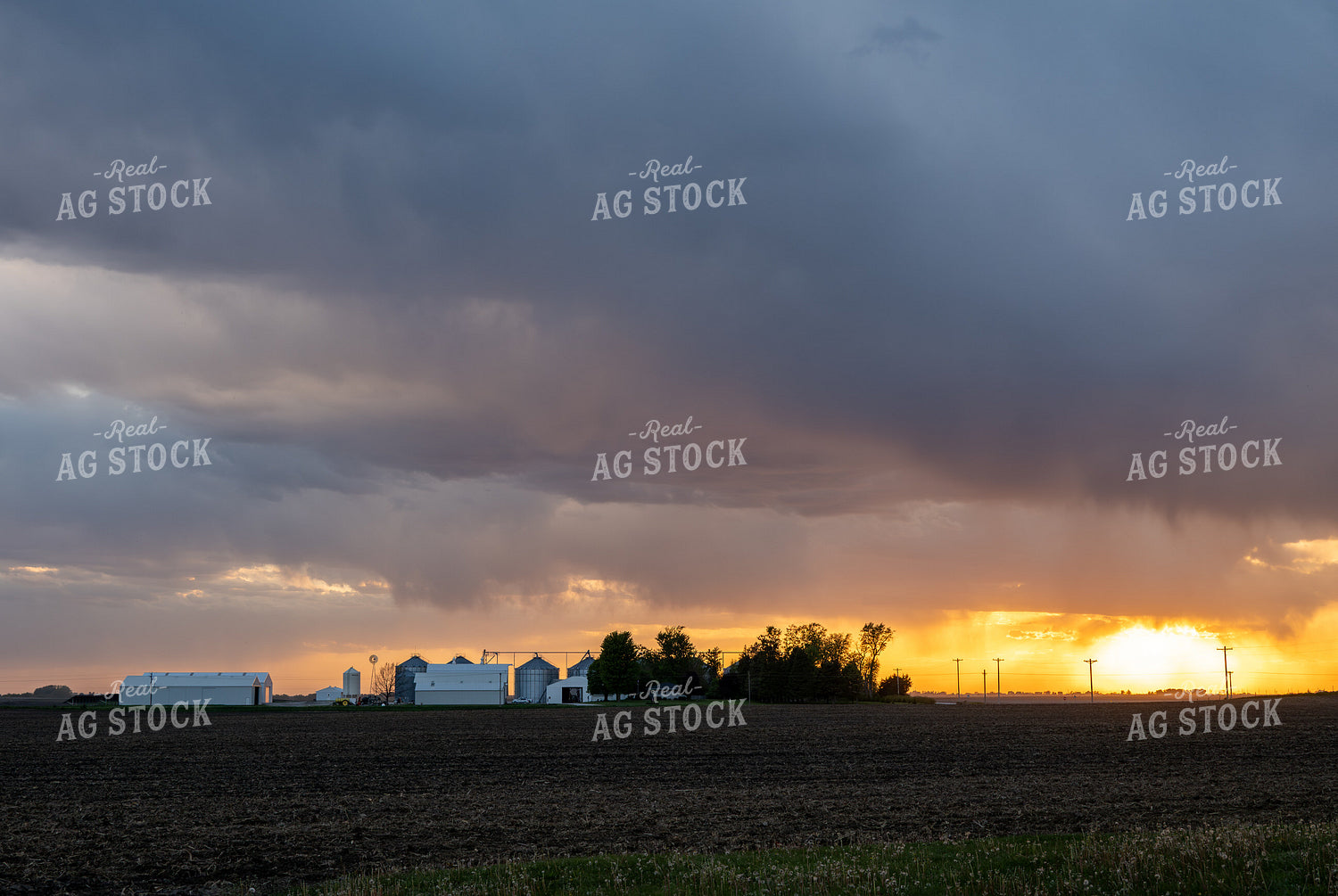 Farm at Sunset 302043