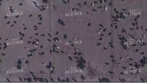 Overhead of Feedyard 239049
