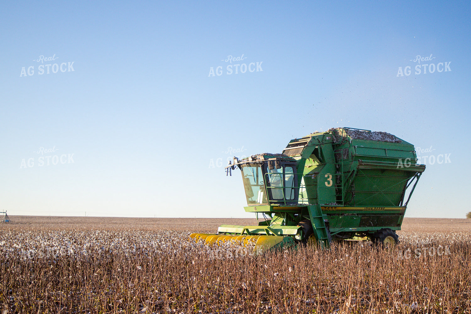Cotton Harvest 208102