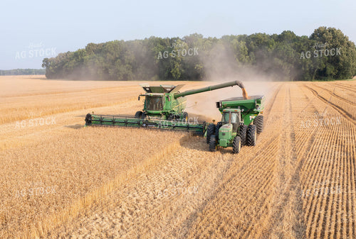 Soybean Harvest 79326
