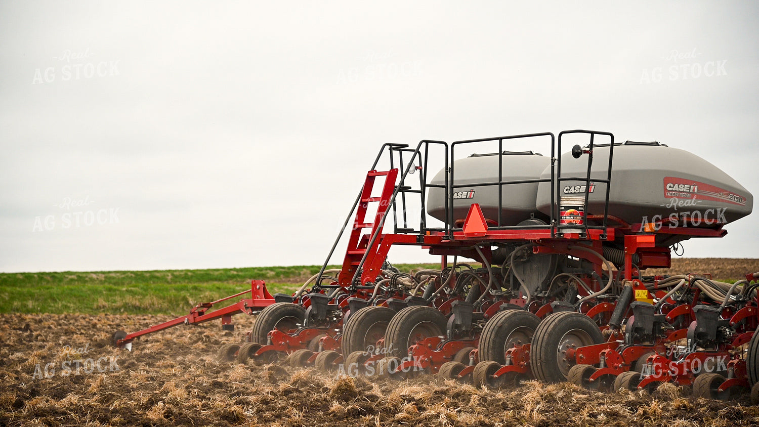 Planting into Tilled Cover Crops 25135