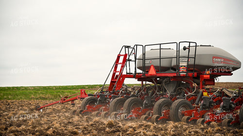 Planting into Tilled Cover Crops 25135