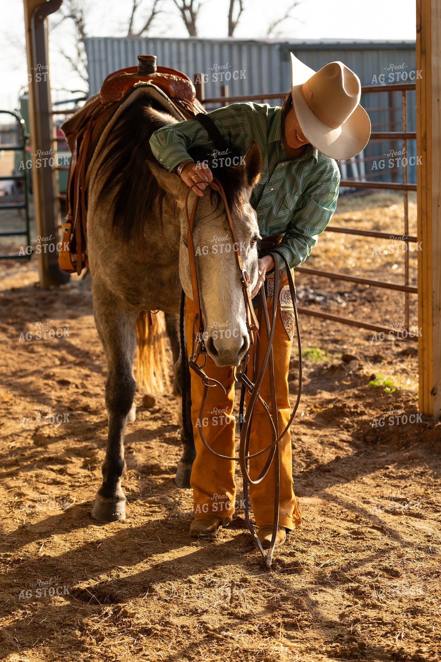 Cowgirl Putting Halter on Horse 71031