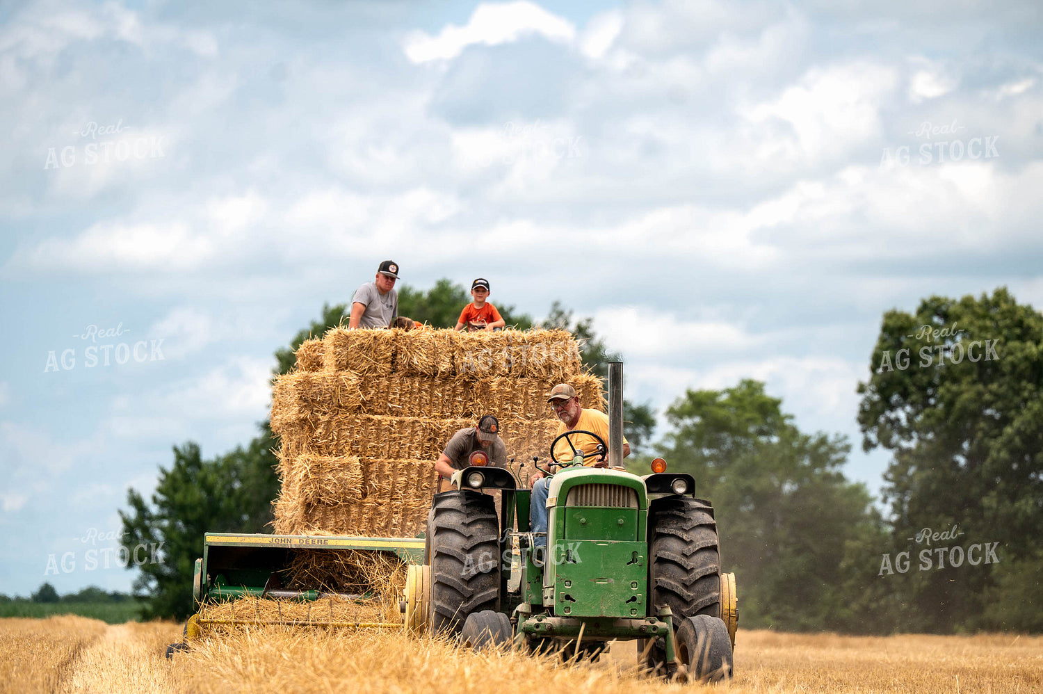 Baling Square Hay Bales 115807