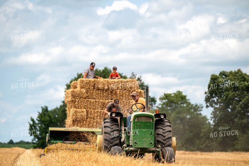Baling Square Hay Bales 115807