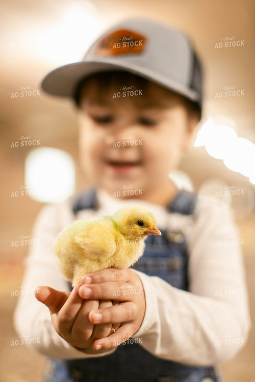 Farm Kid in Chicken Barn 280006