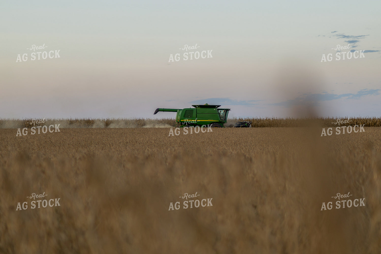 Soybean Harvest 93352
