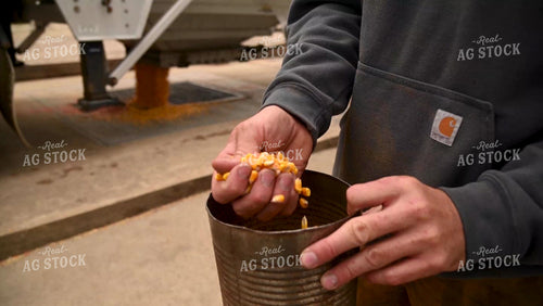 Farmer Testing Corn Moisture On-farm Storage - 463