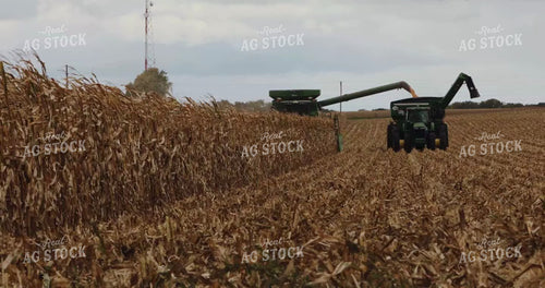 Combine Harvesting Corn and Unloading into Auger Wagon 3915