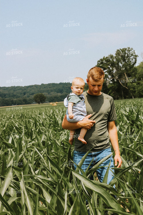 Father and Son Walk Midseason Corn Field 101027
