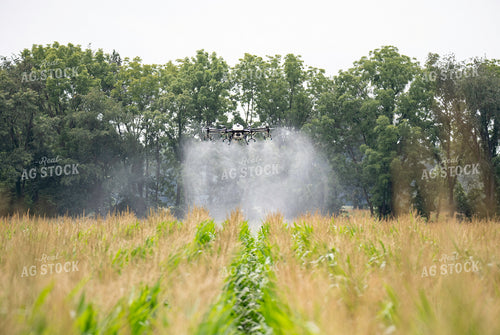 Drone Service Applying Fungicide 168067