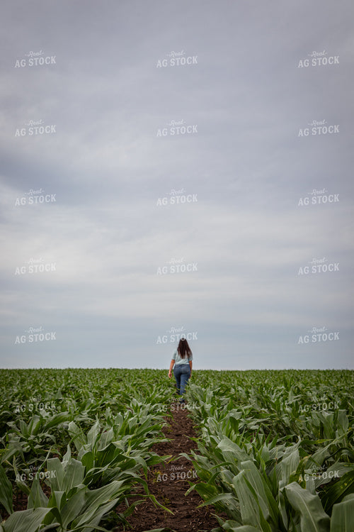Female Farmer Checking Corn 67772