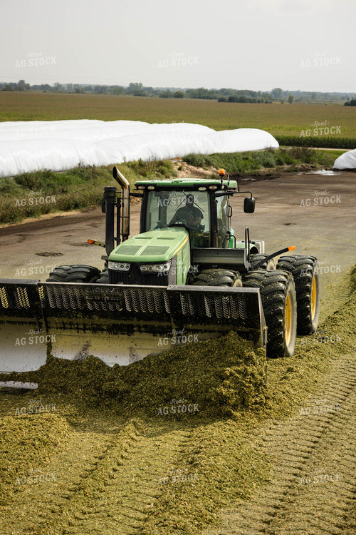 Packing Corn Silage 152946