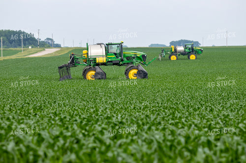 Spraying Corn 257024