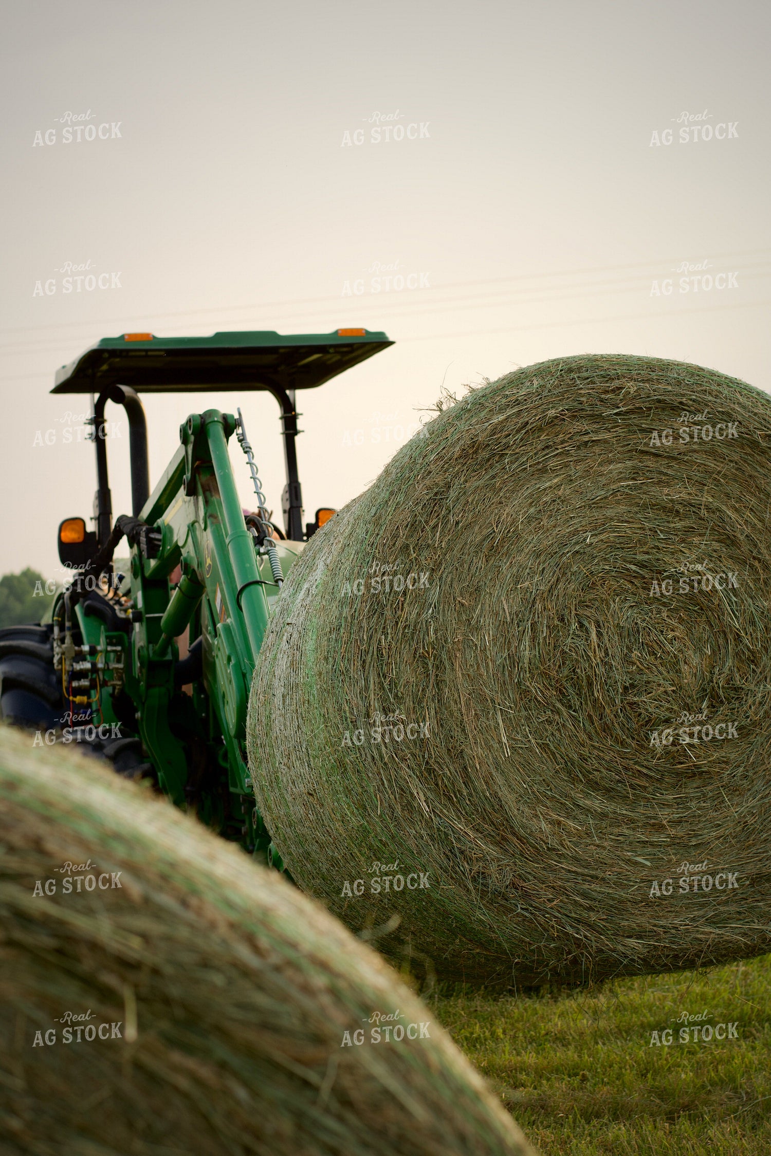Putting Up Hay 251179