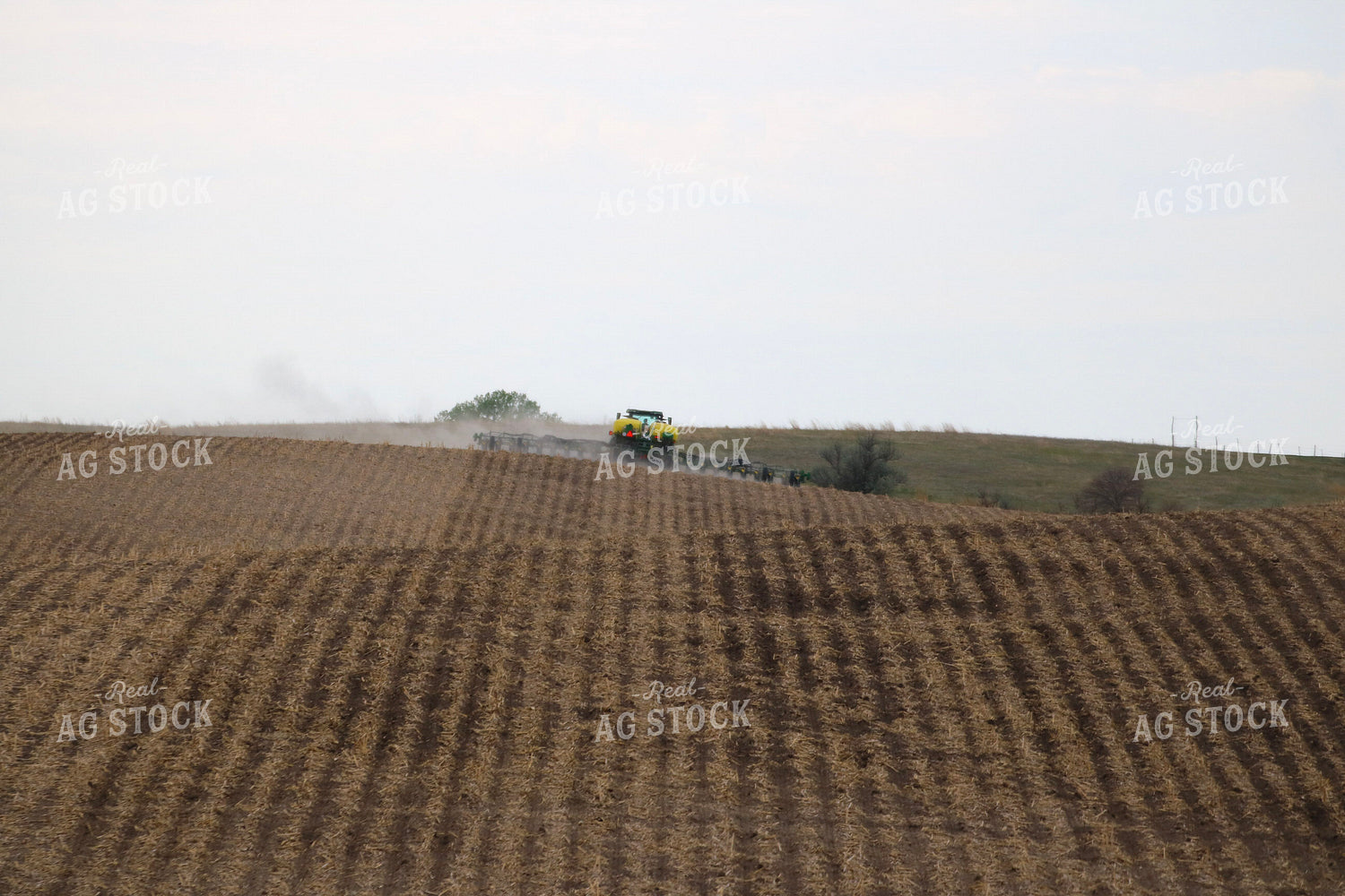 Planting in No Till Field 82400
