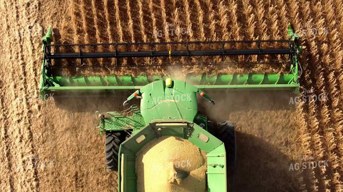 Soybean Harvest 287024