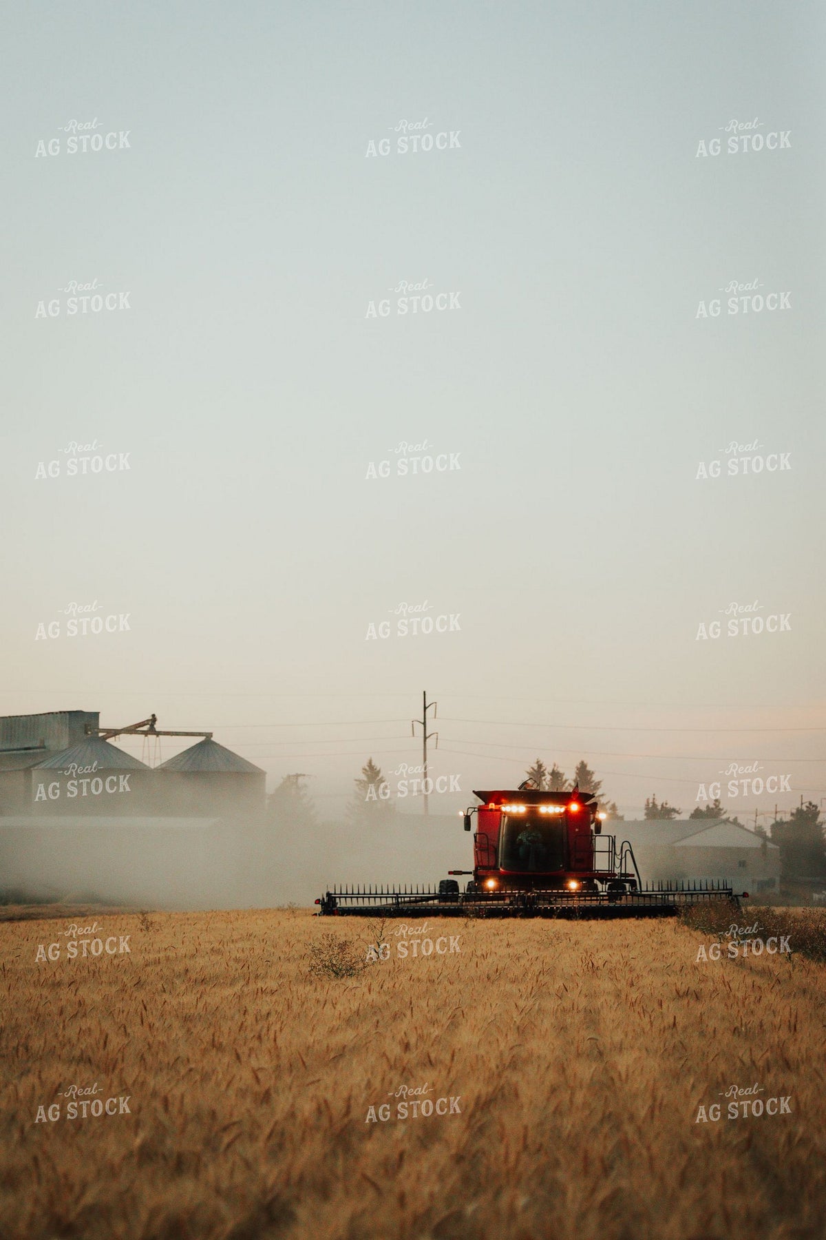 Red Combine Harvesting Wheat at Dusk with Grain Bins in Background 403014