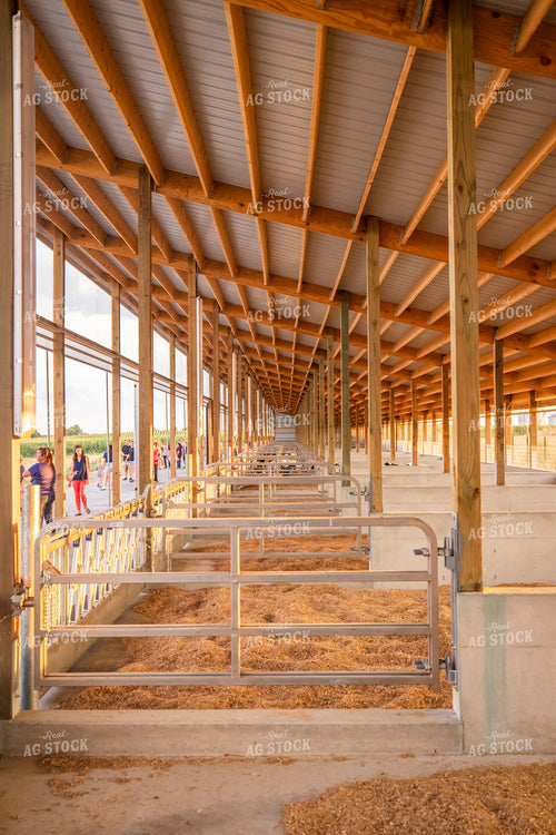 New Construction Freestall Barn 270177