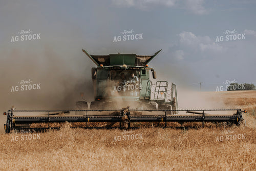 Pea Harvest 187193