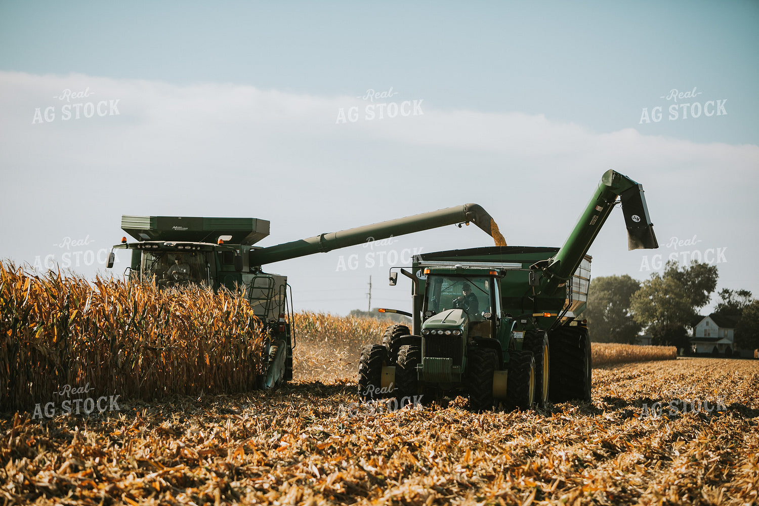Combine Unloading Corn into Grain Cart 4679