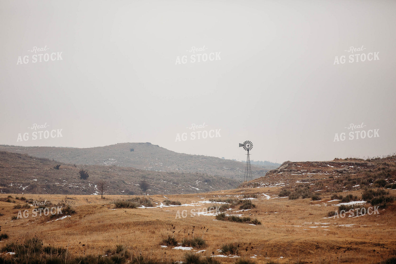 Rural Landscape with Windmill 303031