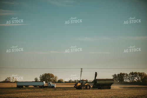 Auger Wagon and Semi During Soybean Harvest 5079