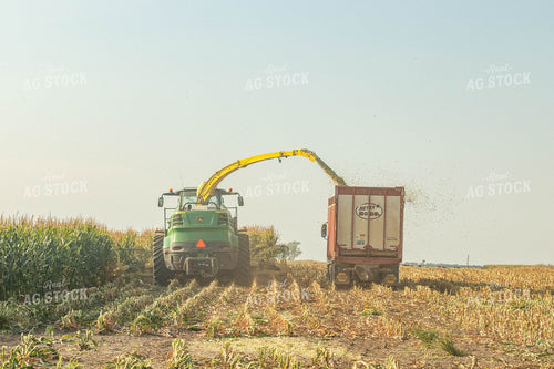 Silage Harvest 72095