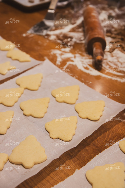Cookies 67922