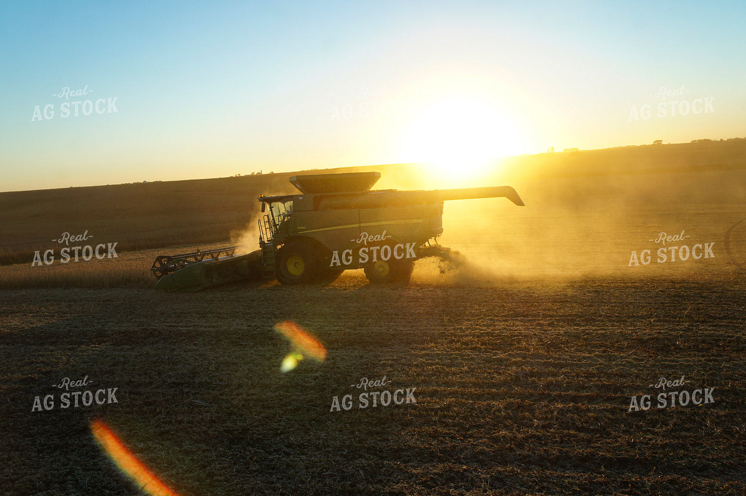 Soybean Harvest 156051