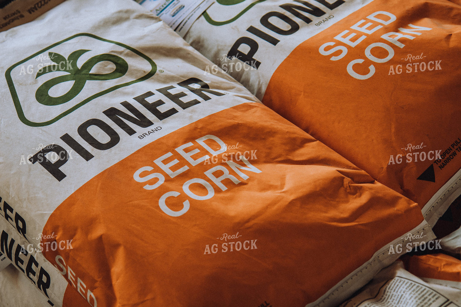Pioneer Seed Corn 67213