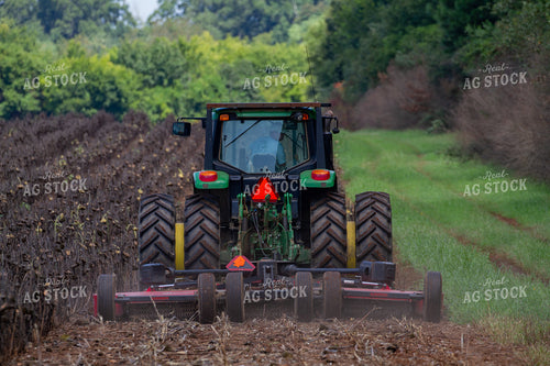 Tractor Mowing Down Sunflowers 79078