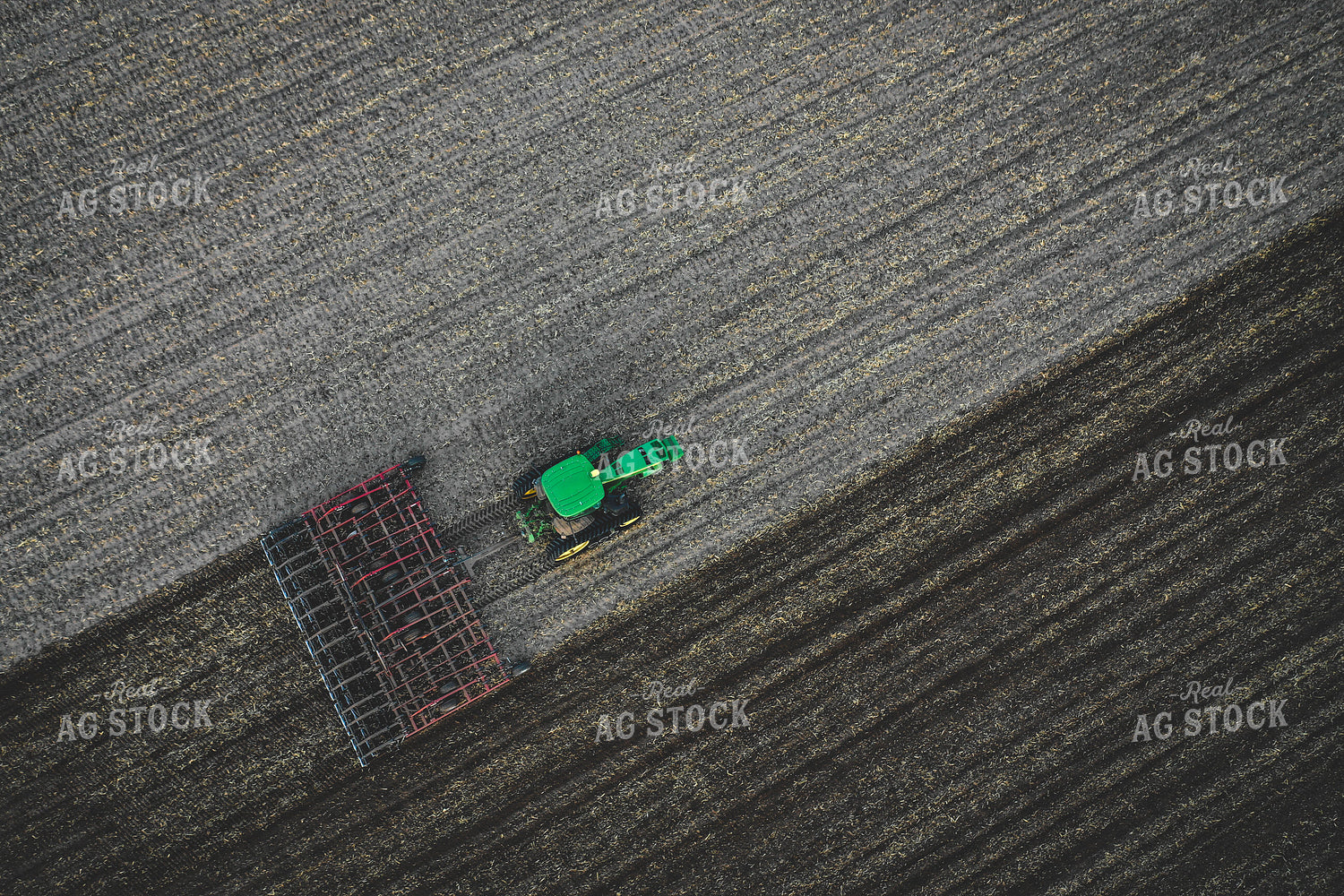 Fieldwork 56009