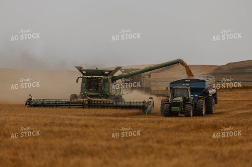 Wheat Harvest 187197