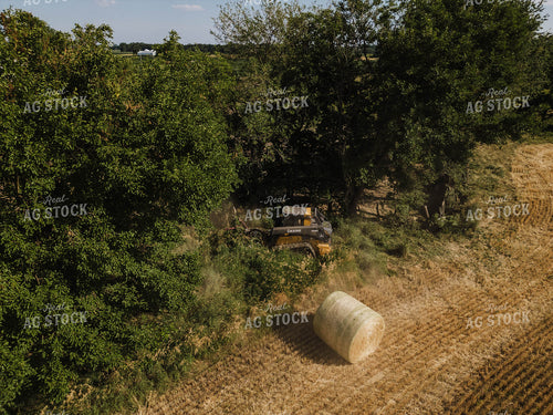 Clearing Trees on Edge of Field 115321