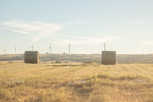 Hay Bales in Field 72080