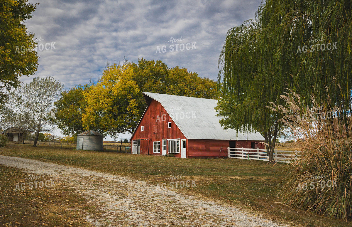 Classic Red Barn and Farmstead in Autumn 404030